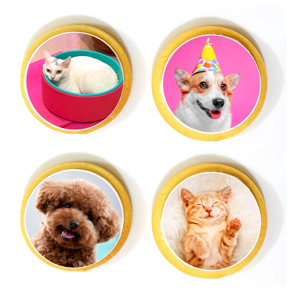 Customised Icing Cookie